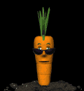 a nutty carrot